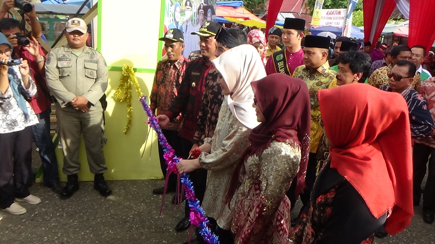 hut tebo