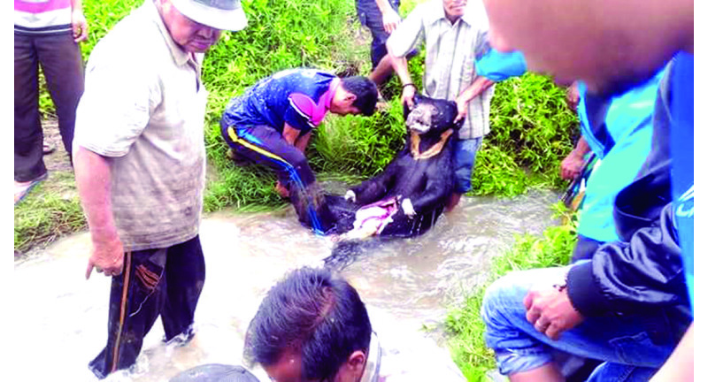 salkdkalsfd23r23tsfdsaf