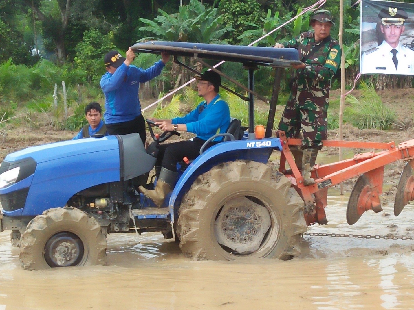sawit