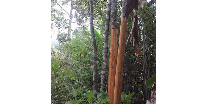 sjakhdksadiu23huih2iuhrdhqahdfhajfhjkasfsafsaf