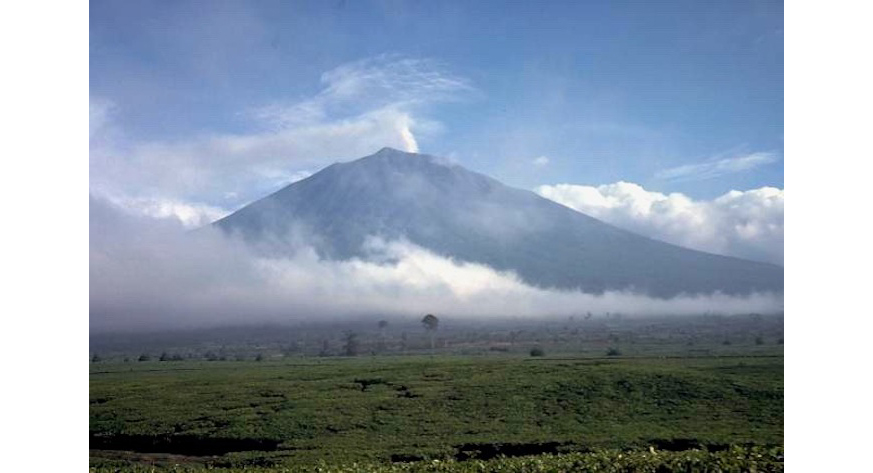 2309589028095934953409609348690439068340969340