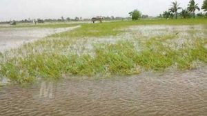 983423842309850984309589043890584930580943859043895084390589340689045896085490