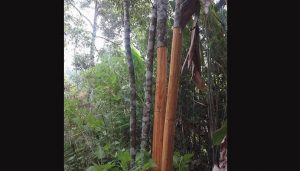 19243878237845273894789237849723895789275893489579384758934534