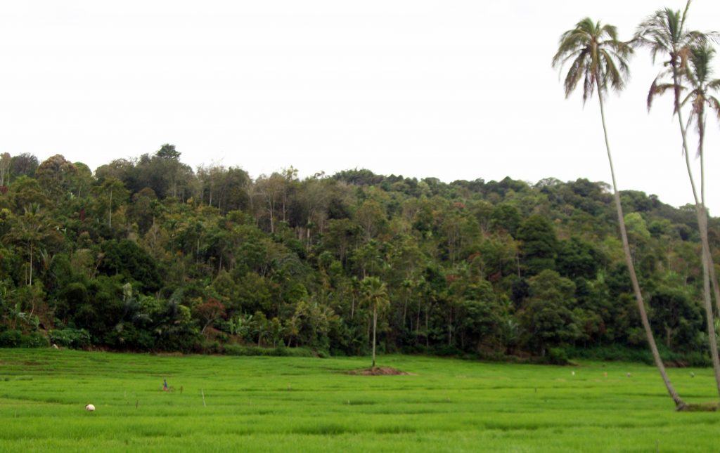 128746782374678236785687236534534