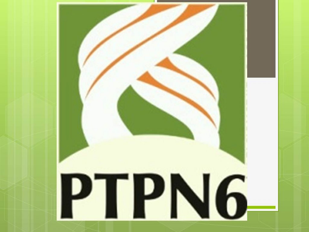 3287587382857874895838957834785943897587345_1024x768