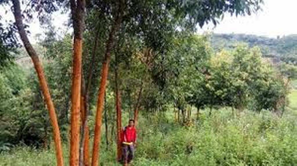 3257878782378578273895_1024x573