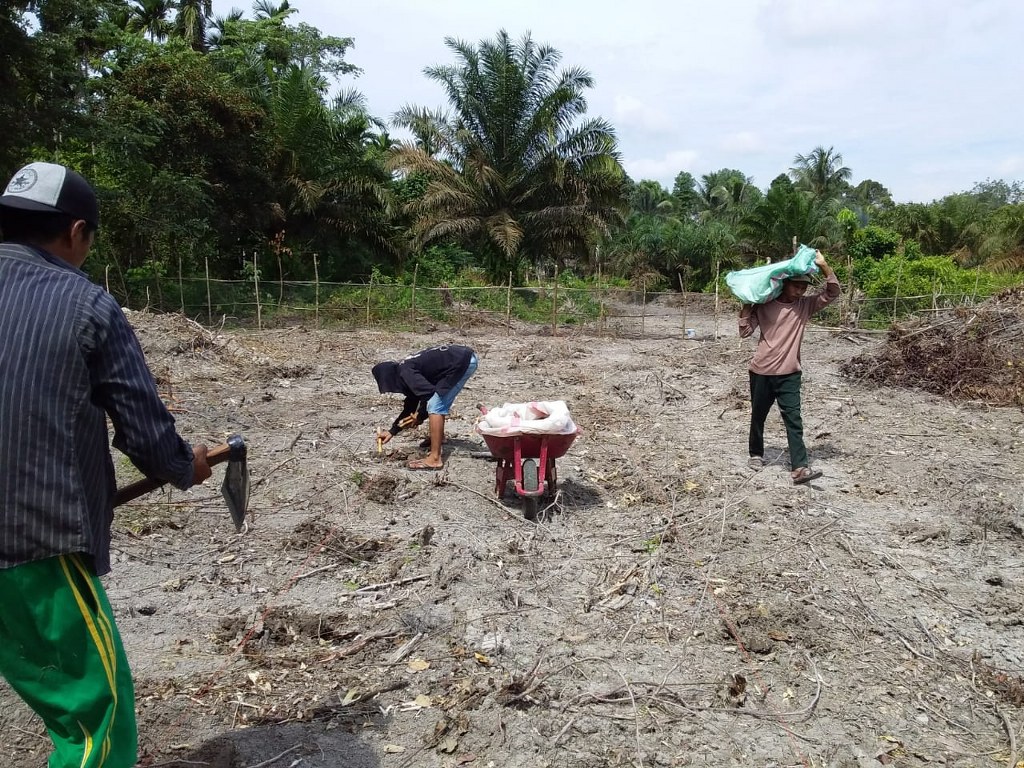 IMG-20190116-WA0023_1024x768