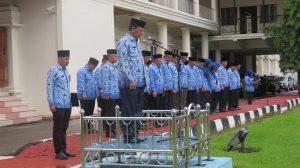 52519429_1508825155915300_2299246218619912192_n_1024x575