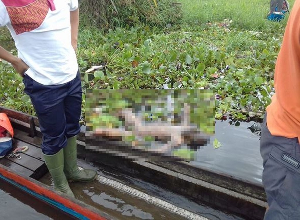 1278467623646328746732678423432_1024x753