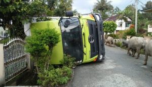 128473275746375678346757843_1024x587