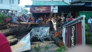 4448fed8-56d4-486a-a4a8-4409ca09f23f_1024x577