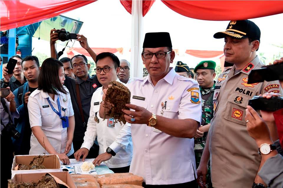 65720859_1613082882156193_5150139926523674624_n