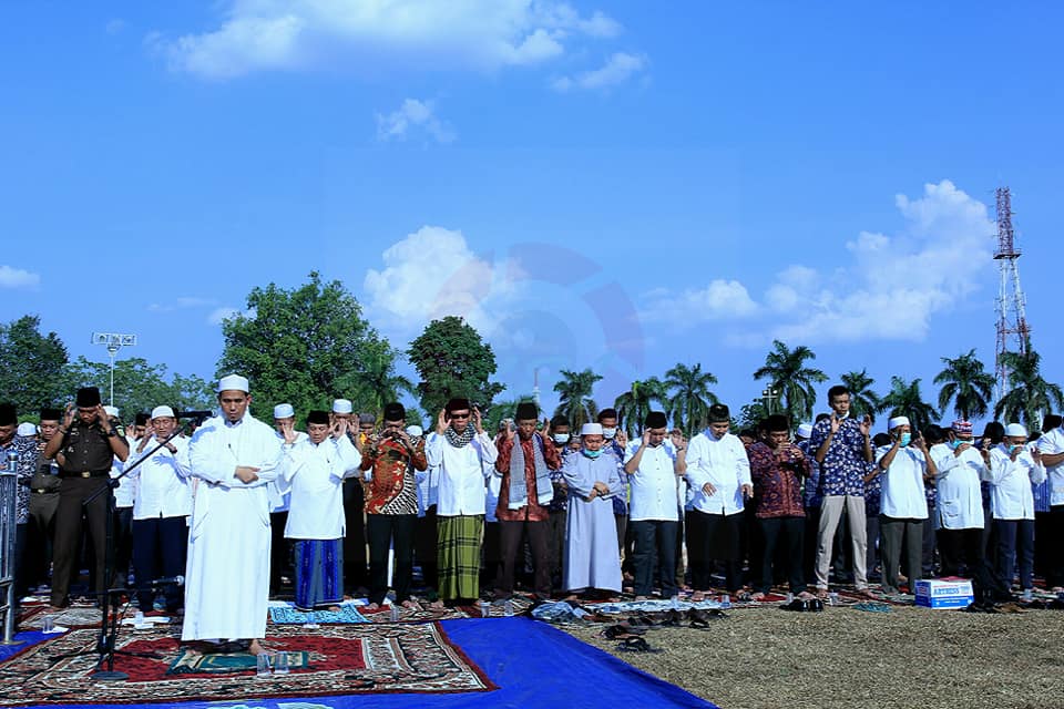 69265425_1657769957687485_7327450142414471168_n