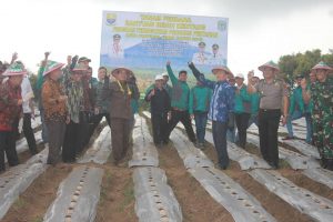 70395914_1670691809728633_9114313527195074560_n