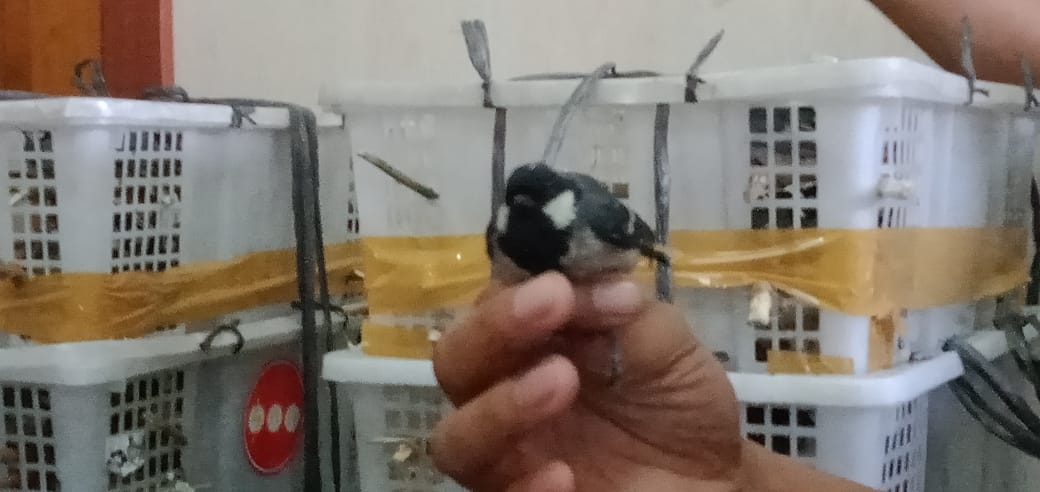 b9f77664-edb4-4626-86fb-1e38de33205d