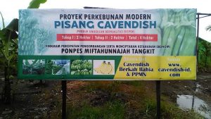 143065319_752115075425224_7189418167565364653_n