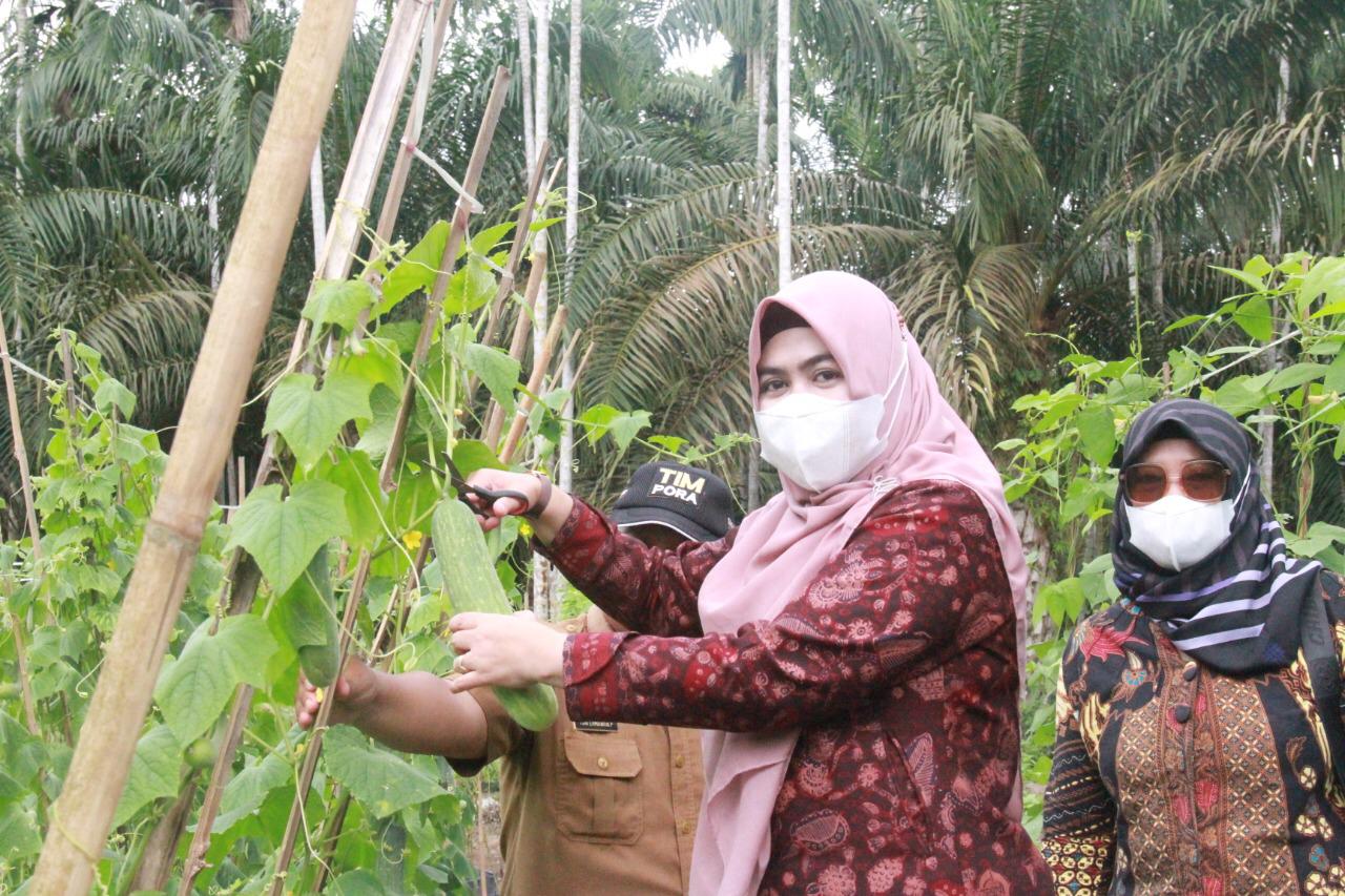 b9e9d40a-51a9-464c-bac2-54d79e341c9f