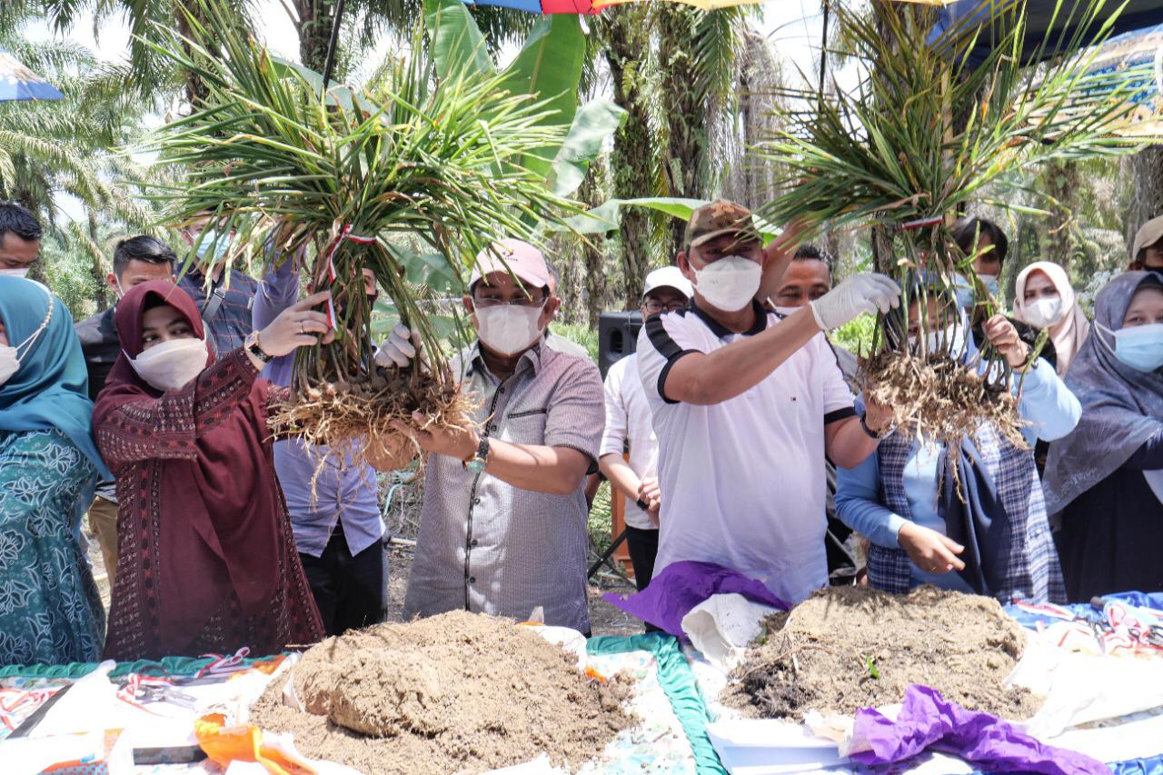 d7f628b2-5ad7-46a3-85f0-c9ffca5d3ccd