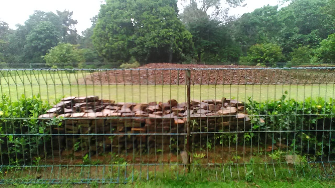 246579327_3132057817023623_1181386454466211715_n