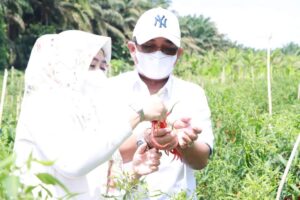 7c8e5b10-2684-4365-adac-4065e9f7aef8