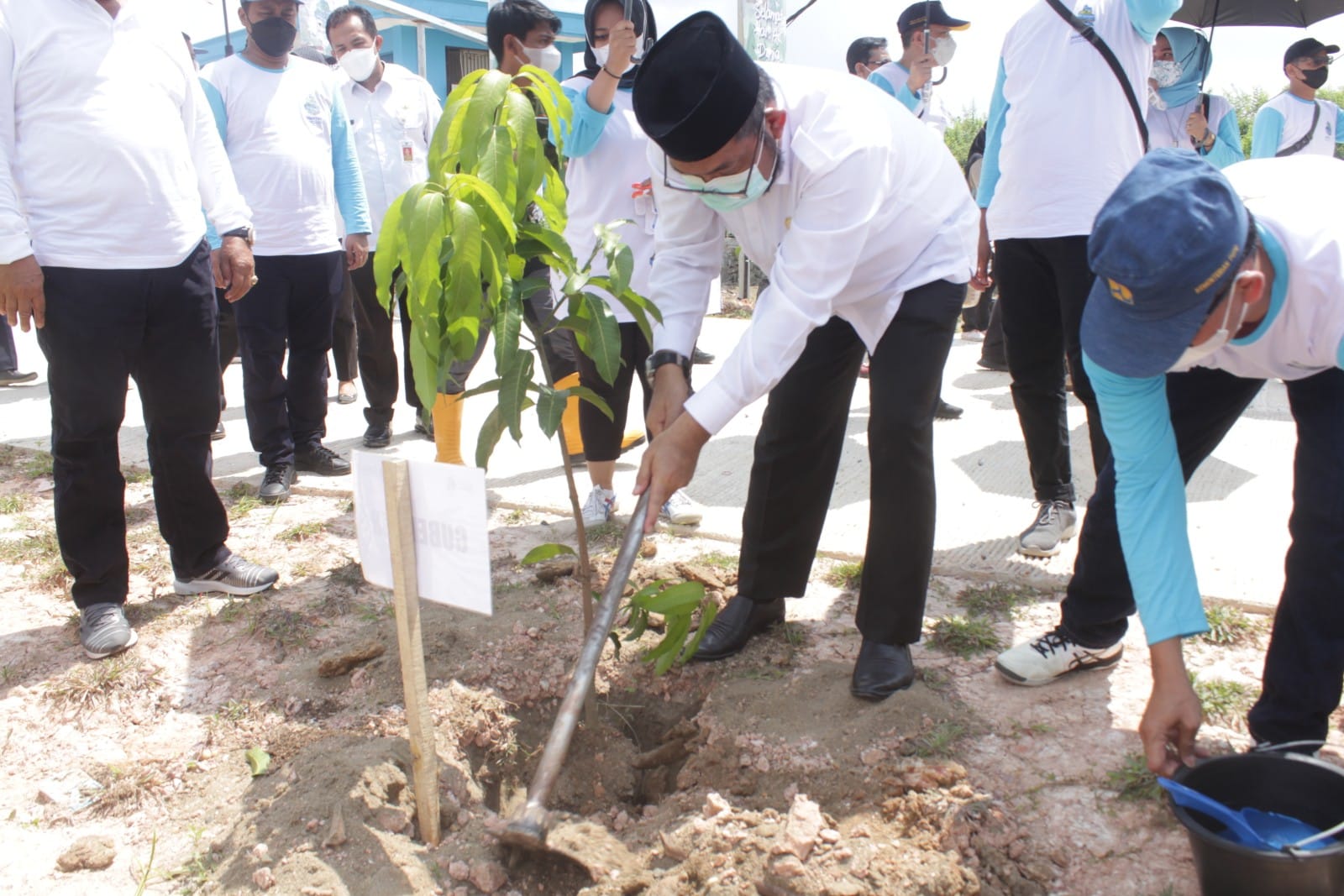 WhatsApp Image 2022-03-30 at 18.52.29