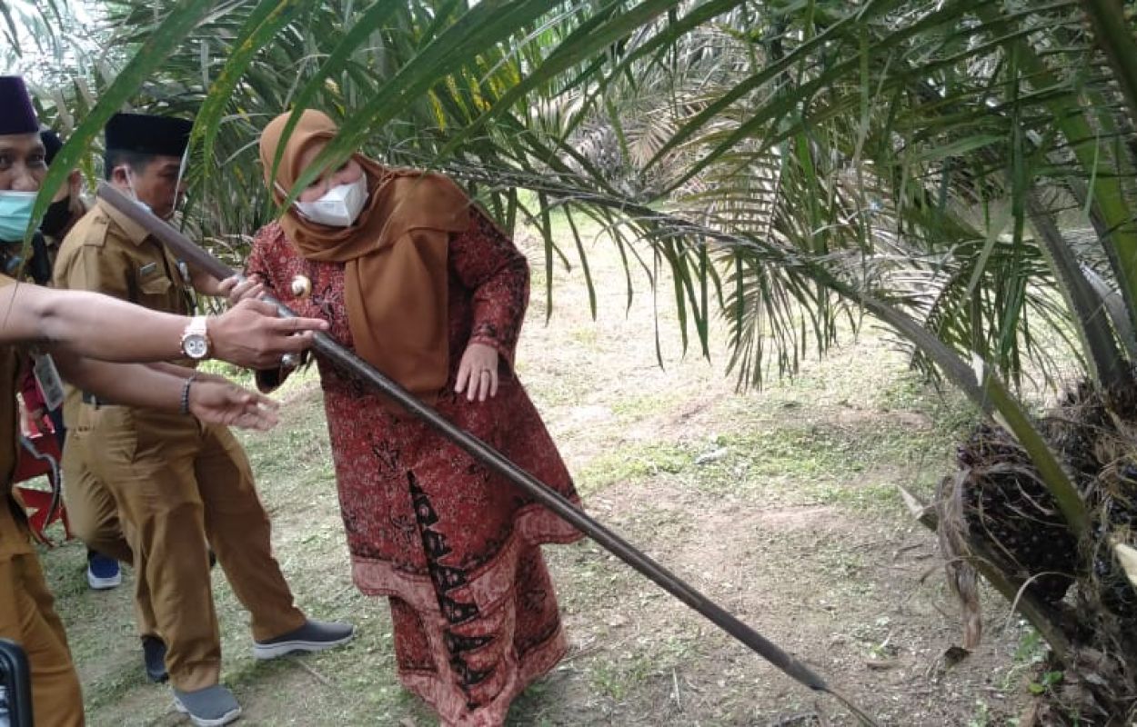 IMG-20220510-WA0047-74u0g8b6od6qxcmu956k5p9otonzgcmqdlsmyi3e3tc