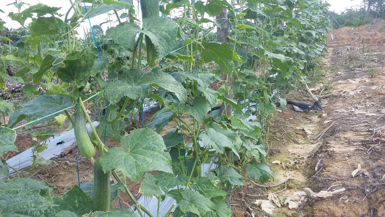 WhatsApp Image 2022-05-22 at 17.41.41