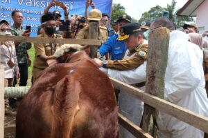 WhatsApp Image 2022-07-05 at 20.53.10