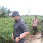 IMG-20220911-WA0001-750x500