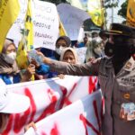 WhatsApp Image 2022-09-06 at 16.58.02