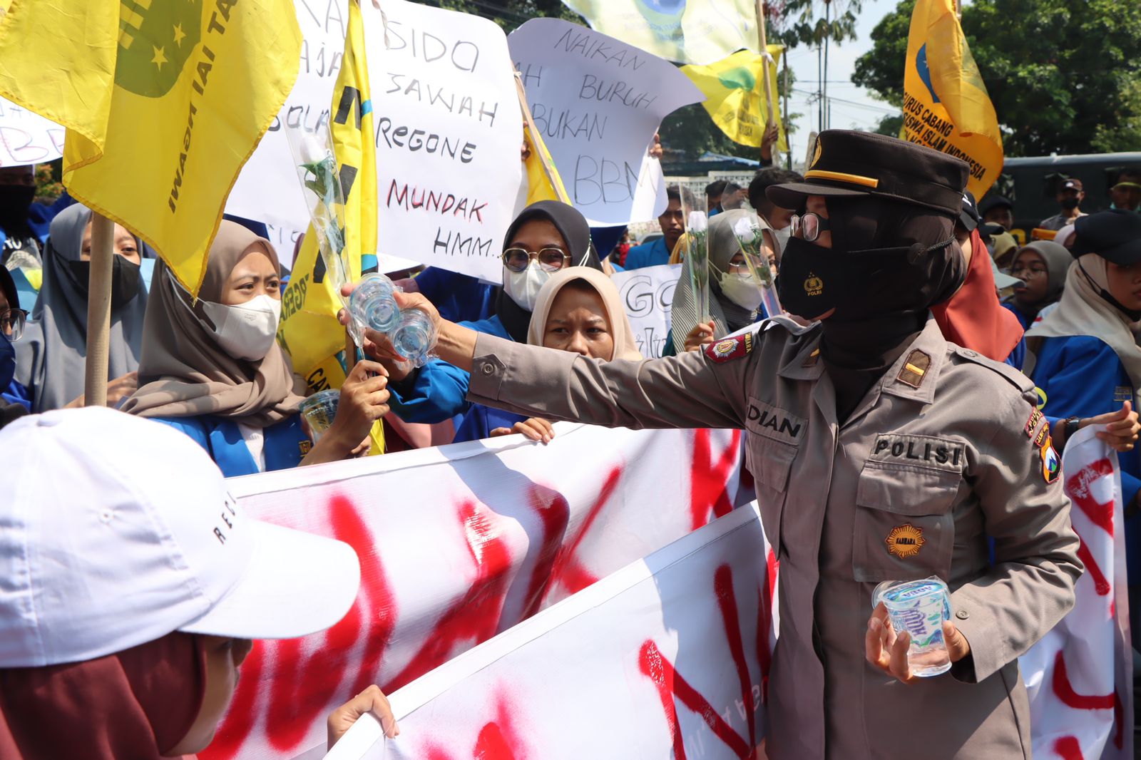 WhatsApp Image 2022-09-06 at 16.58.02