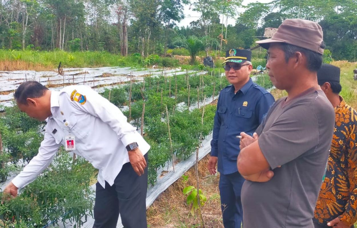 IMG-20230111-WA0010-784xckujin1gqz2lnqyga4jzhnan11cyzkorwoqgb0w