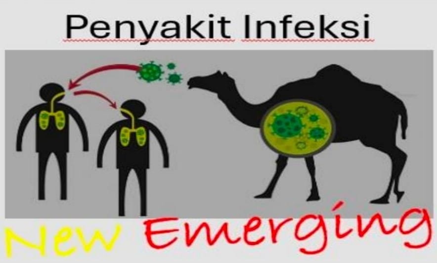 WhatsApp Image 2023-12-14 at 20.25.15